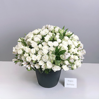 White Blossoms
