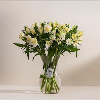 Pure Love Vase