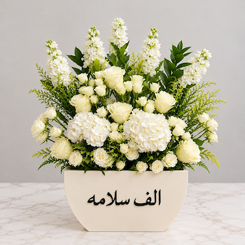 الف سلامة